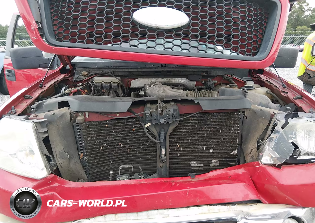 2006 Ford F-150 Stx-Xlt VIN:1FTRF02W56KD83096 - 10