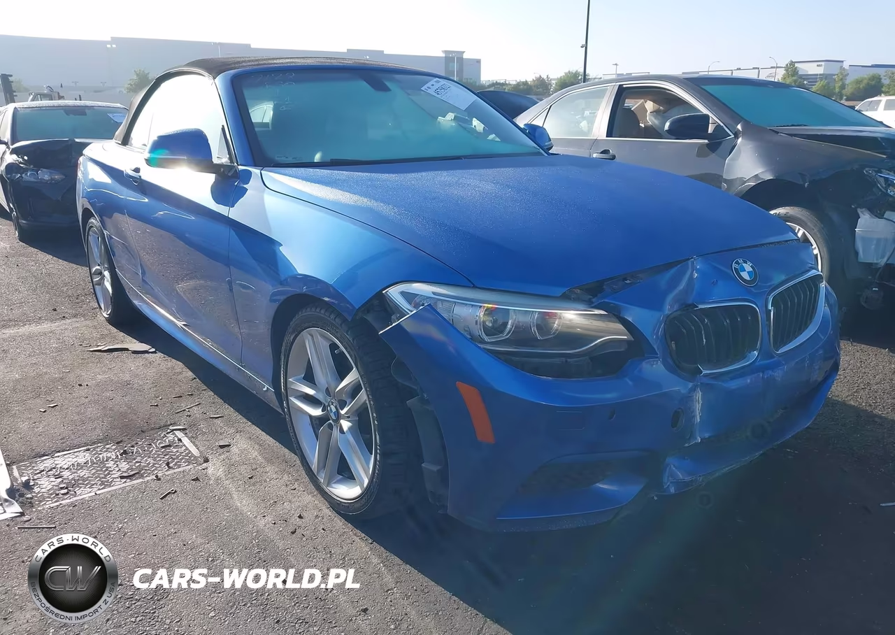 2015 BMW 228I VIN:WBA1K5C53FV242907 - 1