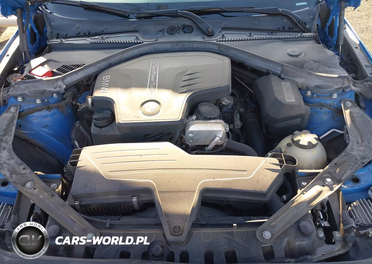 2015 BMW 228I VIN:WBA1K5C53FV242907 - 10