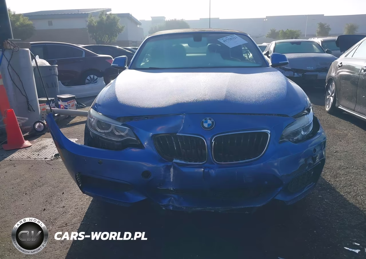 2015 BMW 228I VIN:WBA1K5C53FV242907 - 12