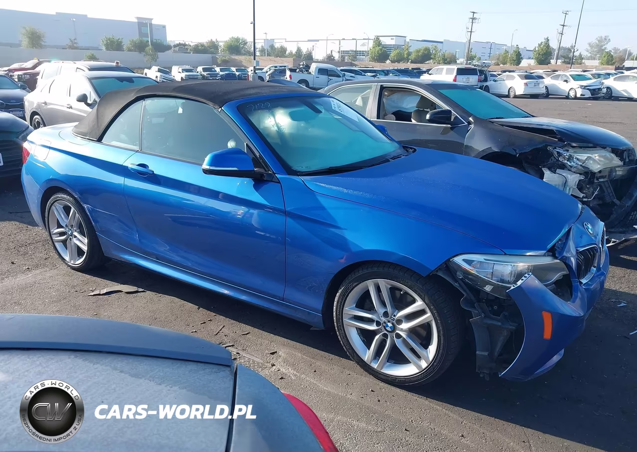 2015 BMW 228I VIN:WBA1K5C53FV242907 - 13