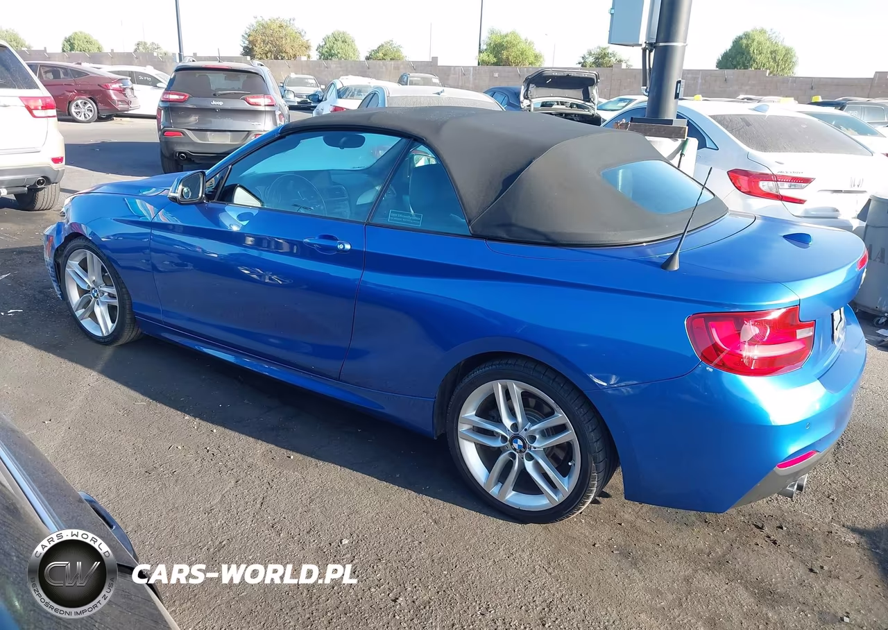 2015 BMW 228I VIN:WBA1K5C53FV242907 - 14