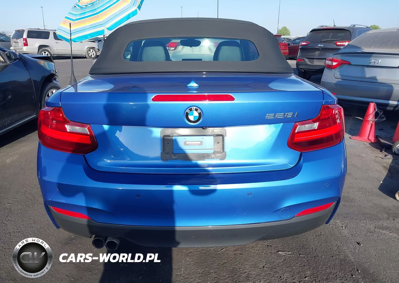 2015 BMW 228I VIN:WBA1K5C53FV242907 - 16
