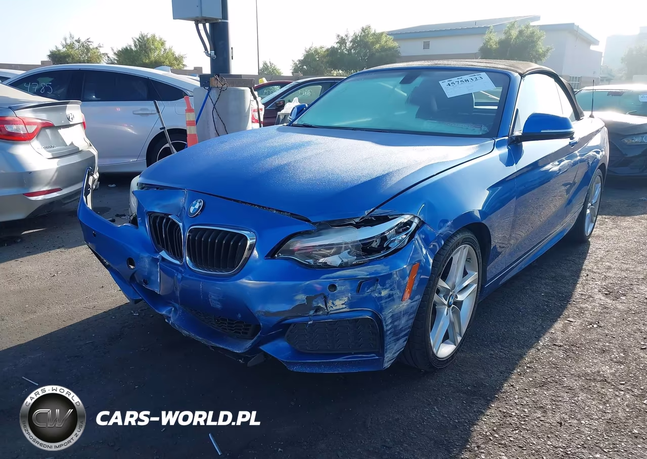 2015 BMW 228I VIN:WBA1K5C53FV242907 - 2