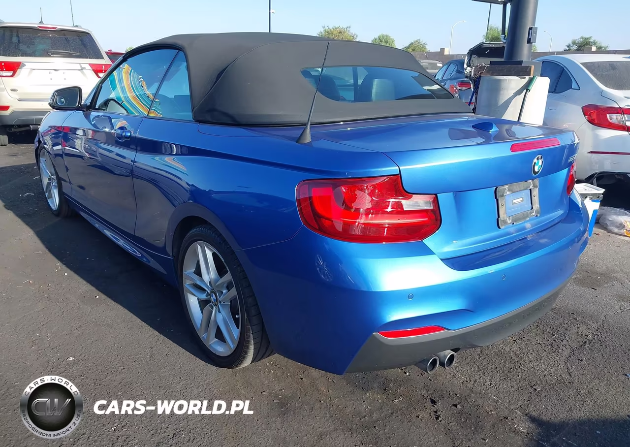 2015 BMW 228I VIN:WBA1K5C53FV242907 - 3