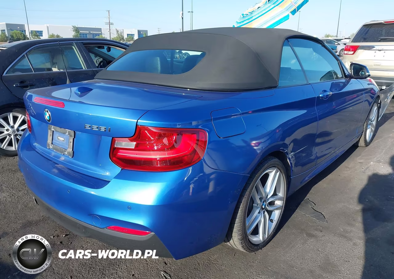 2015 BMW 228I VIN:WBA1K5C53FV242907 - 4