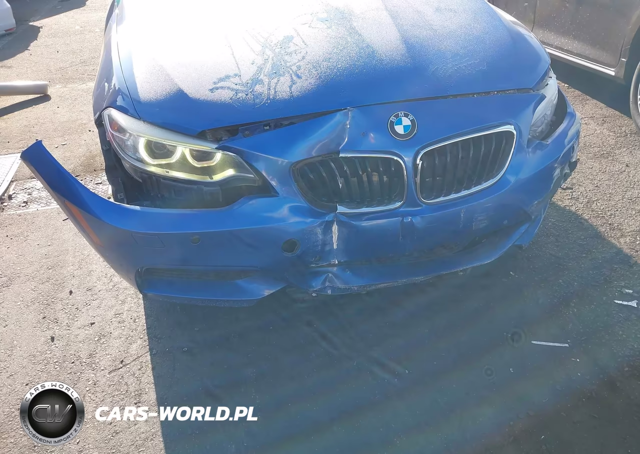2015 BMW 228I VIN:WBA1K5C53FV242907 - 6