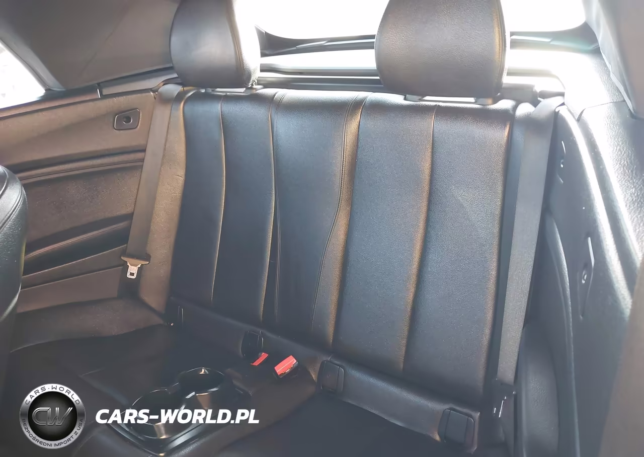 2015 BMW 228I VIN:WBA1K5C53FV242907 - 8