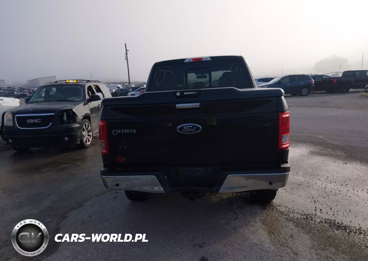 2017 Ford F-150 Xlt VIN:1FTEW1EP0HKC43467 - 16