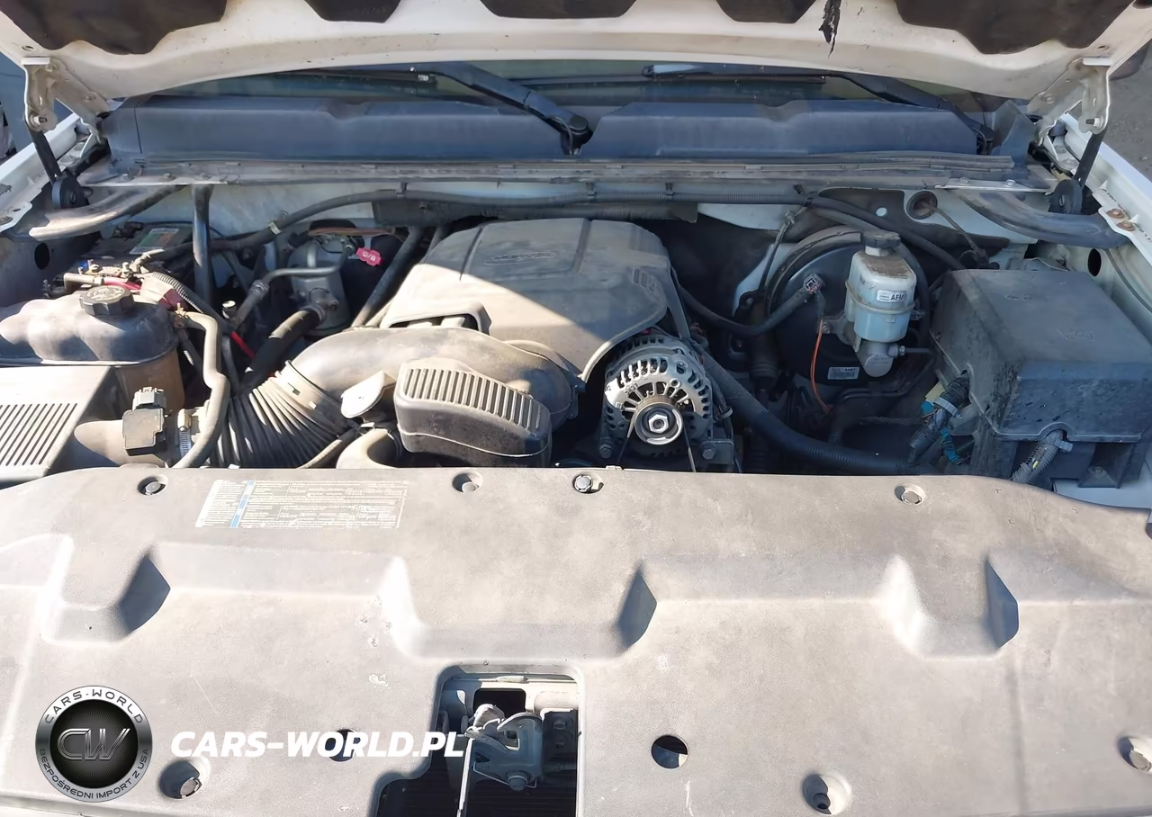 2010 Chevrolet Silverado 1500 Lt VIN:3GCRCSEA3AG234528 - 10