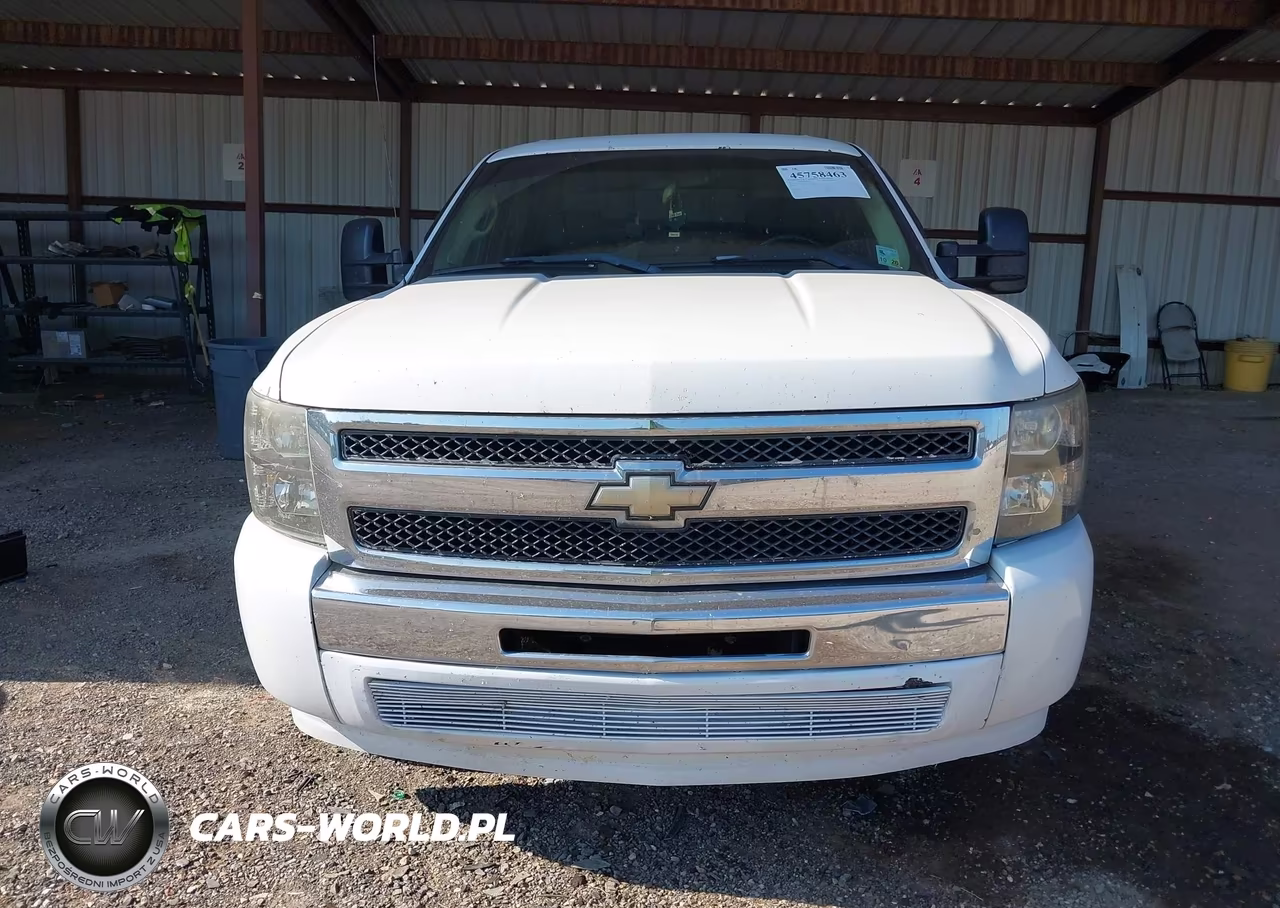 2010 Chevrolet Silverado 1500 Lt VIN:3GCRCSEA3AG234528 - 21