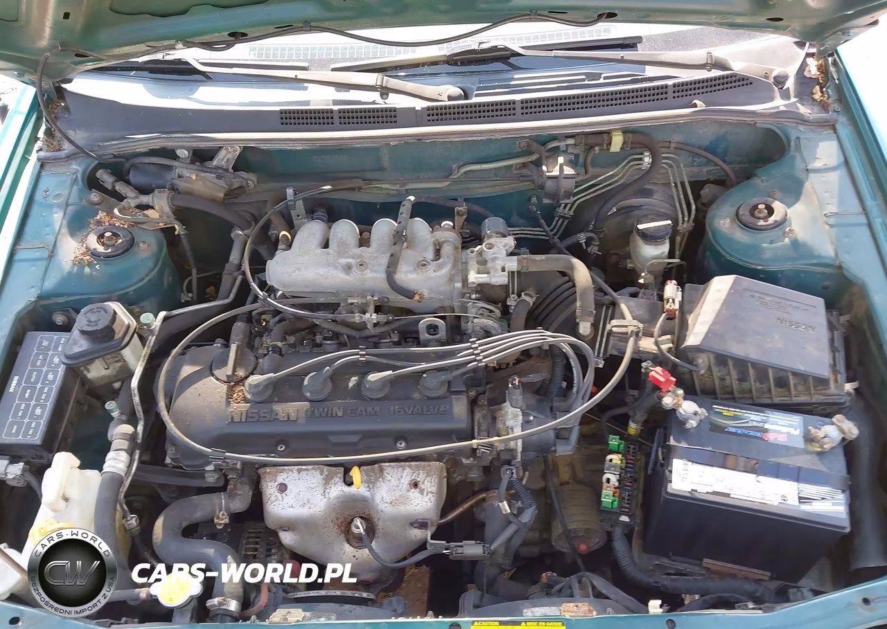 1996 Nissan Sentra E-Xe-Gxe-Gle VIN:1N4AB41D4TC752803 - 10