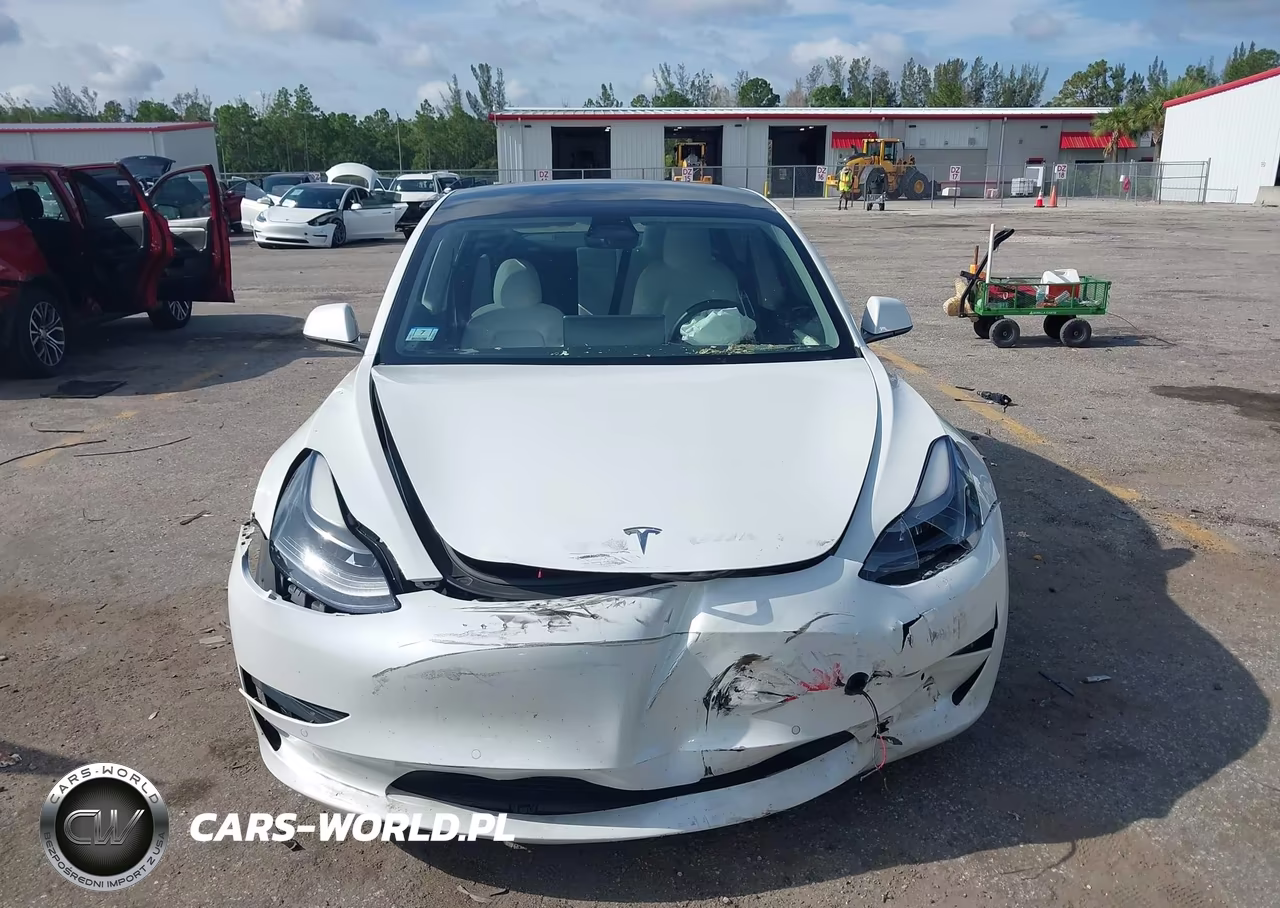 2021 Tesla Model 3 Standard Range Plus Rear-Wheel Drive VIN:5YJ3E1EA3MF978327 - 11