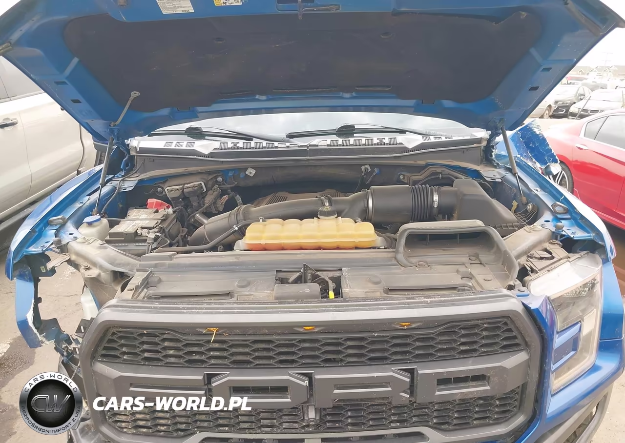 2017 Ford F-150 Raptor VIN:1FTFW1RG5HFC59977 - 10