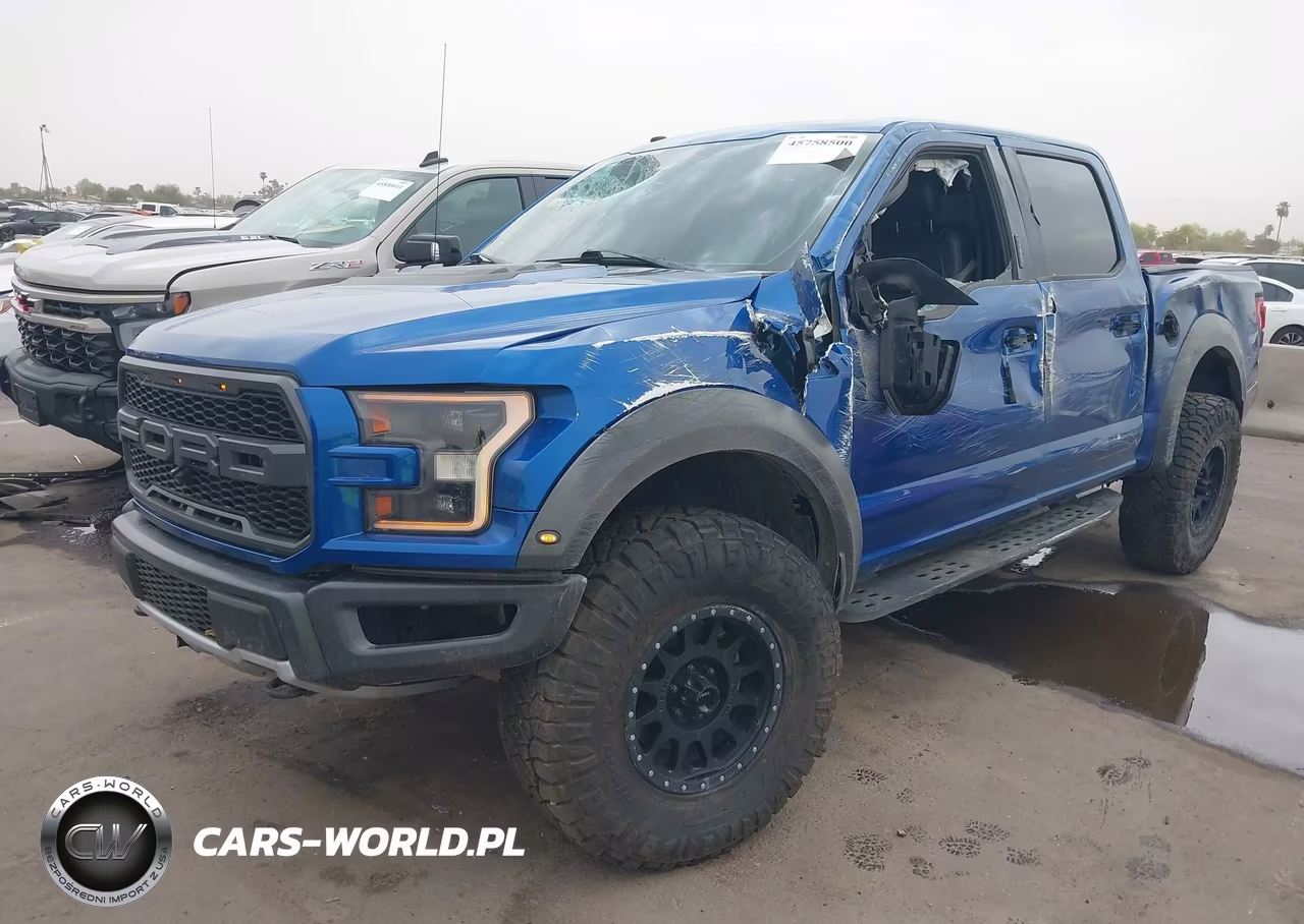 2017 Ford F-150 Raptor VIN:1FTFW1RG5HFC59977 - 2