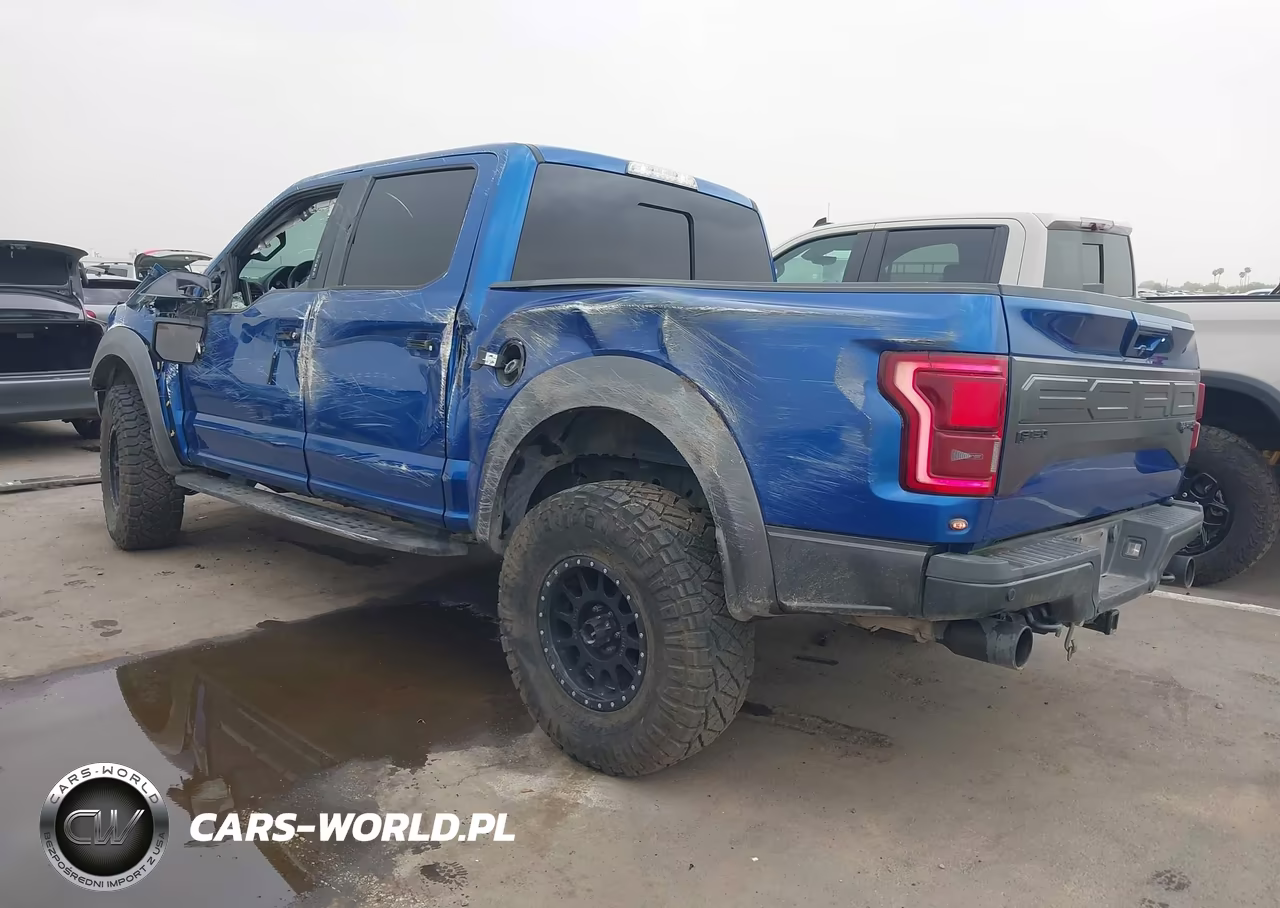 2017 Ford F-150 Raptor VIN:1FTFW1RG5HFC59977 - 3