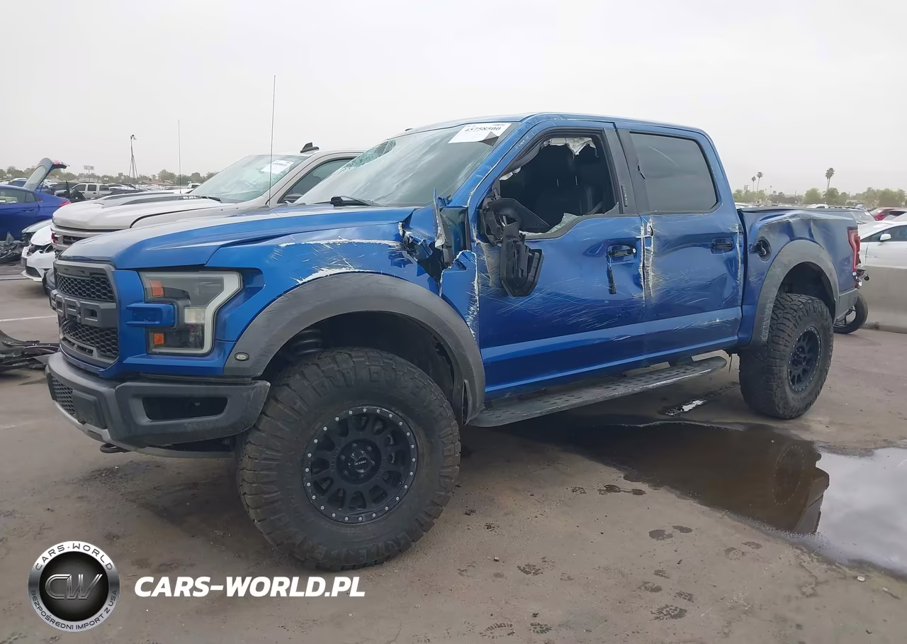 2017 Ford F-150 Raptor VIN:1FTFW1RG5HFC59977 - 6