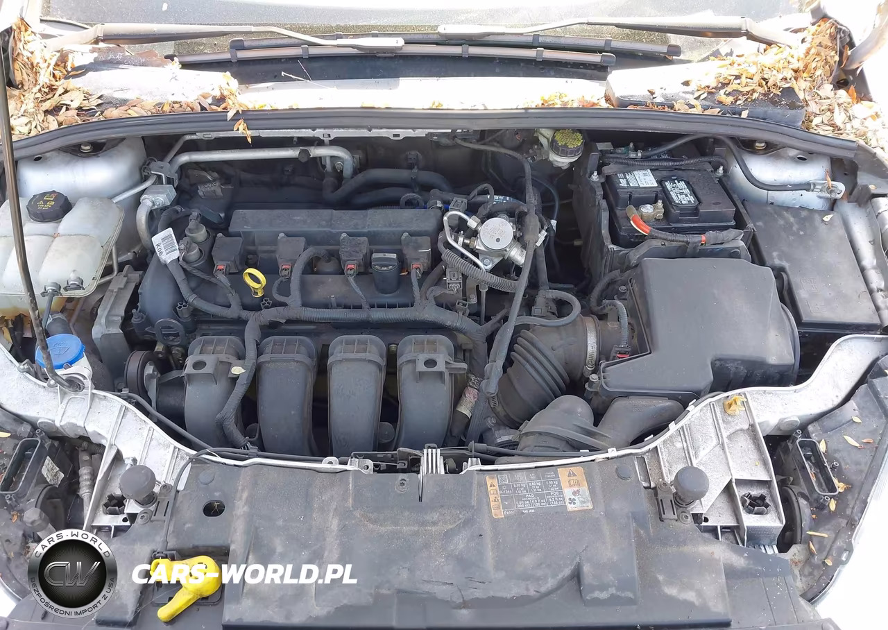 2015 Ford Focus Se VIN:1FADP3K2XFL224452 - 10