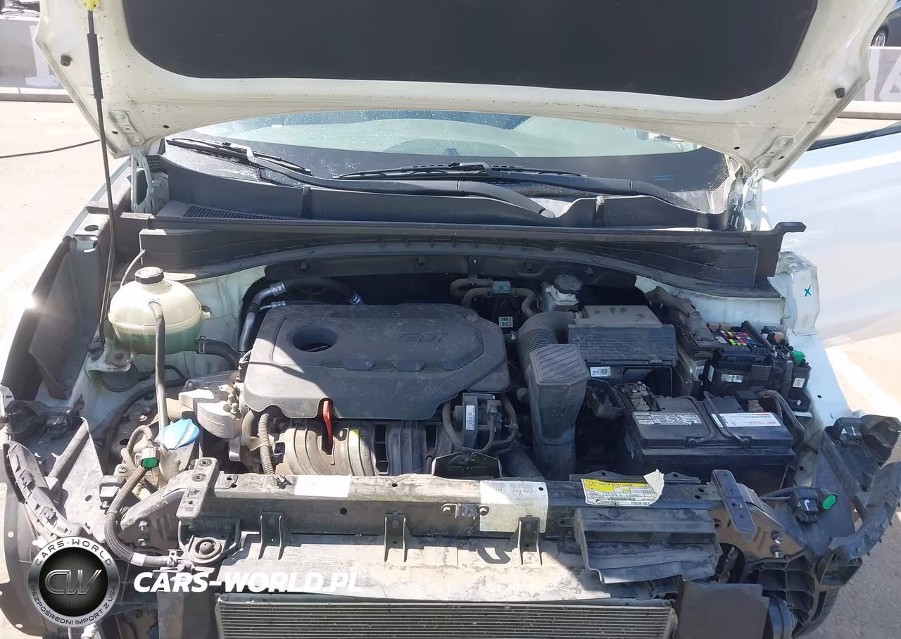 2019 Kia Sportage Lx VIN:KNDPM3AC9K7510225 - 10