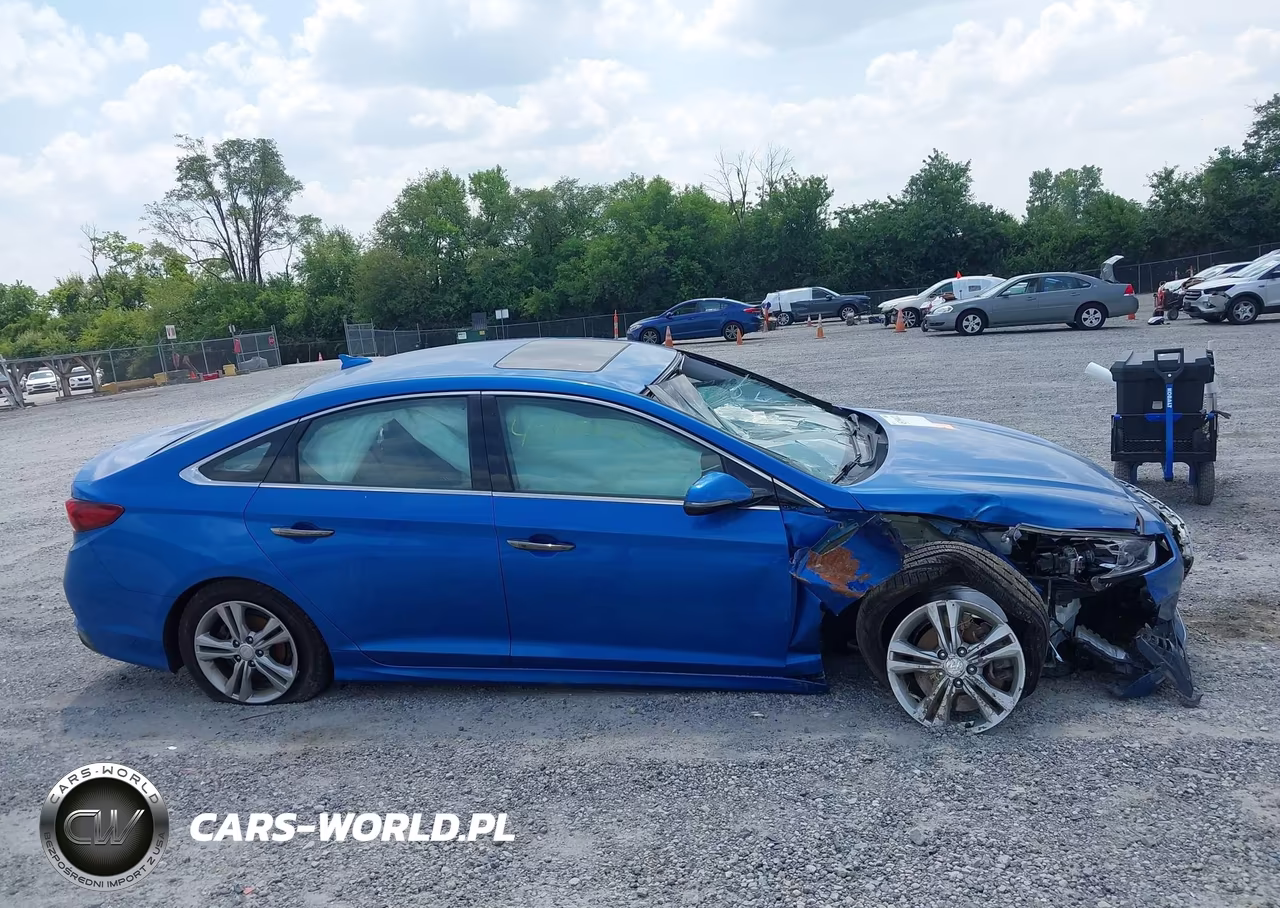 2018 Hyundai Sonata Limited VIN:5NPE34AF7JH642579 - 12