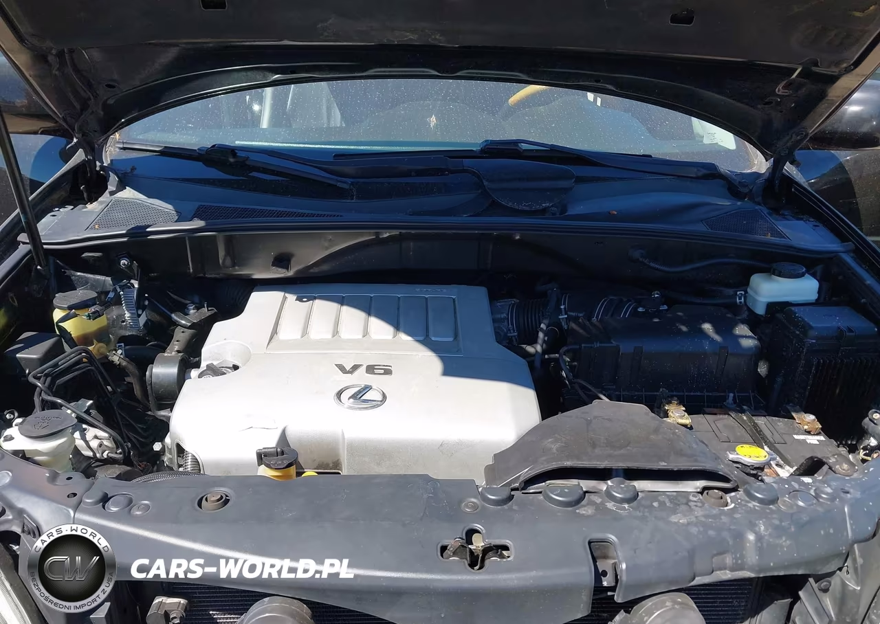 2007 Lexus Rx 350 VIN:2T2GK31U07C004508 - 10