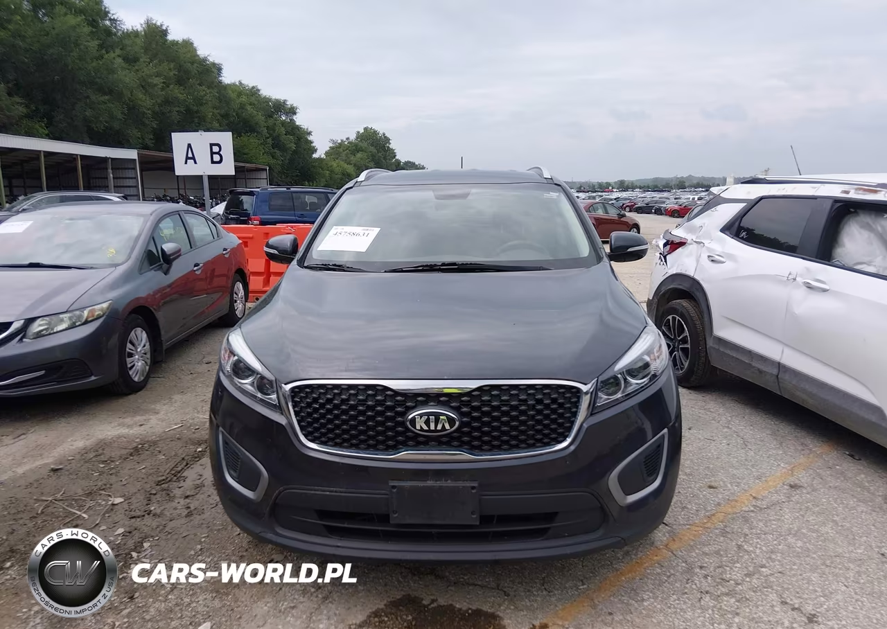 2017 Kia Sorento 2.4L Lx VIN:5XYPGDA37HG232255 - 12
