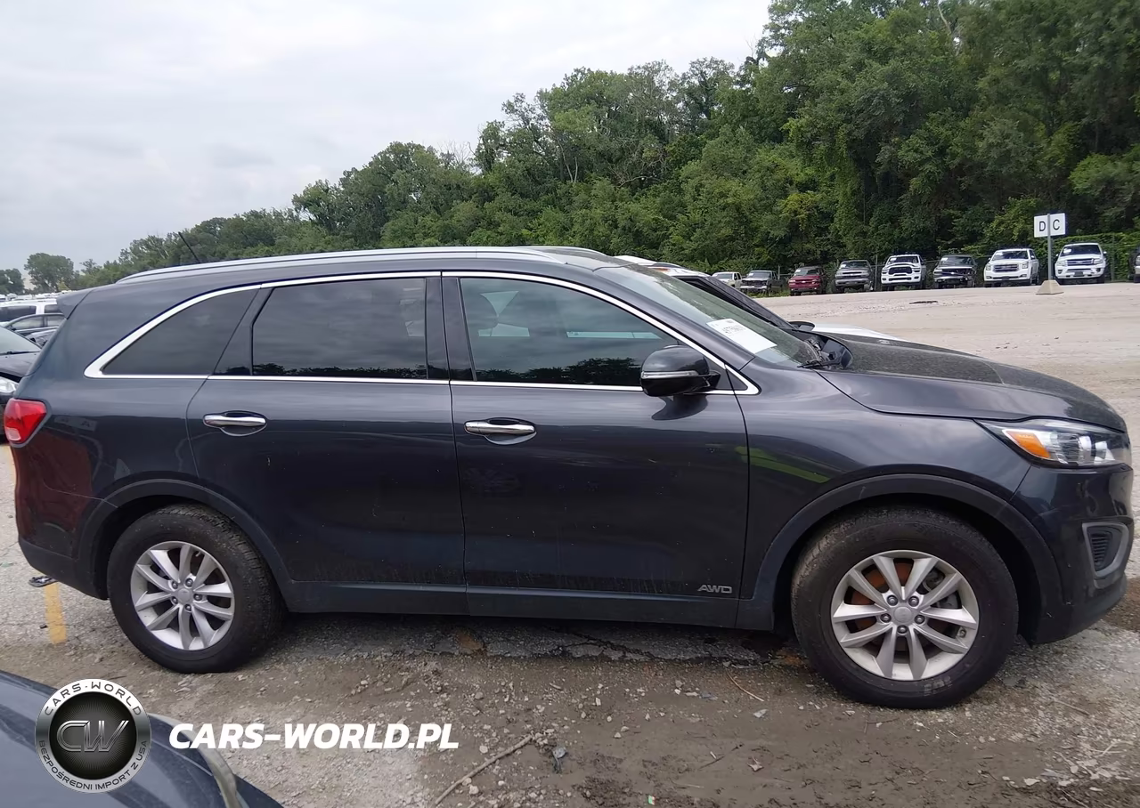 2017 Kia Sorento 2.4L Lx VIN:5XYPGDA37HG232255 - 13