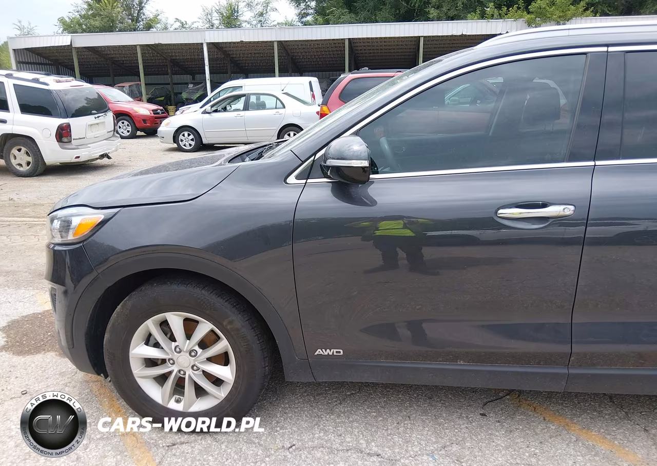 2017 Kia Sorento 2.4L Lx VIN:5XYPGDA37HG232255 - 17