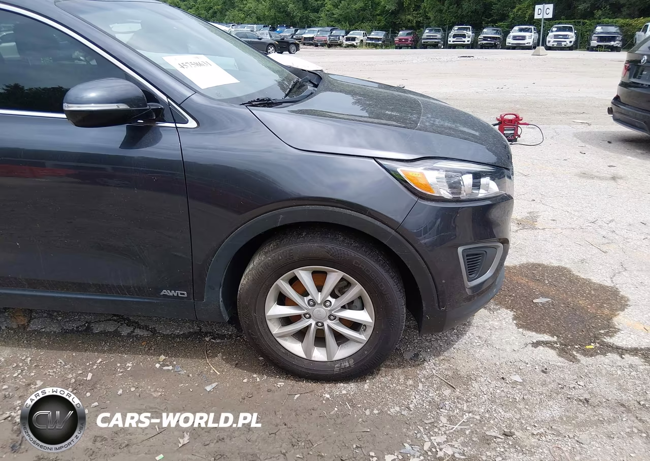 2017 Kia Sorento 2.4L Lx VIN:5XYPGDA37HG232255 - 18