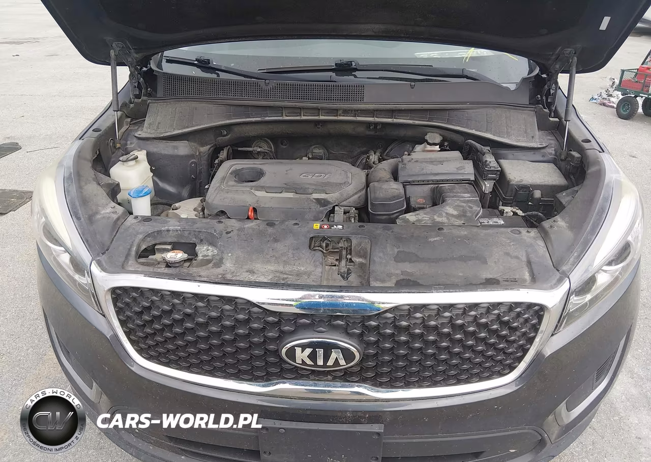 2016 Kia Sorento 2.4L Lx VIN:5XYPGDA32GG102088 - 10