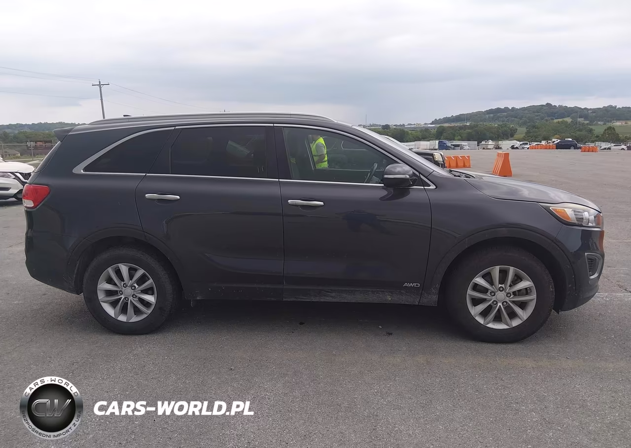 2016 Kia Sorento 2.4L Lx VIN:5XYPGDA32GG102088 - 13