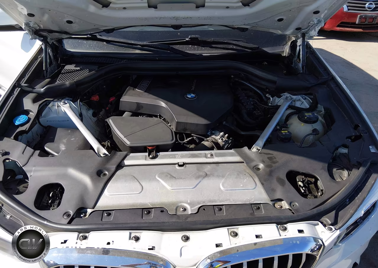 2019 BMW X3 Sdrive30I VIN:5UXTR7C51KLE98084 - 10