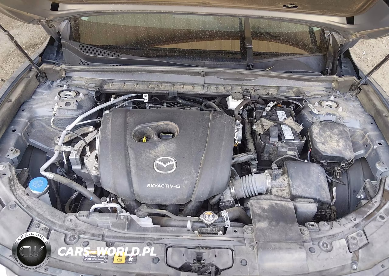 2024 Mazda Cx-50 2.5 S Premium Plus VIN:7MMVABEM3RN185798 - 17