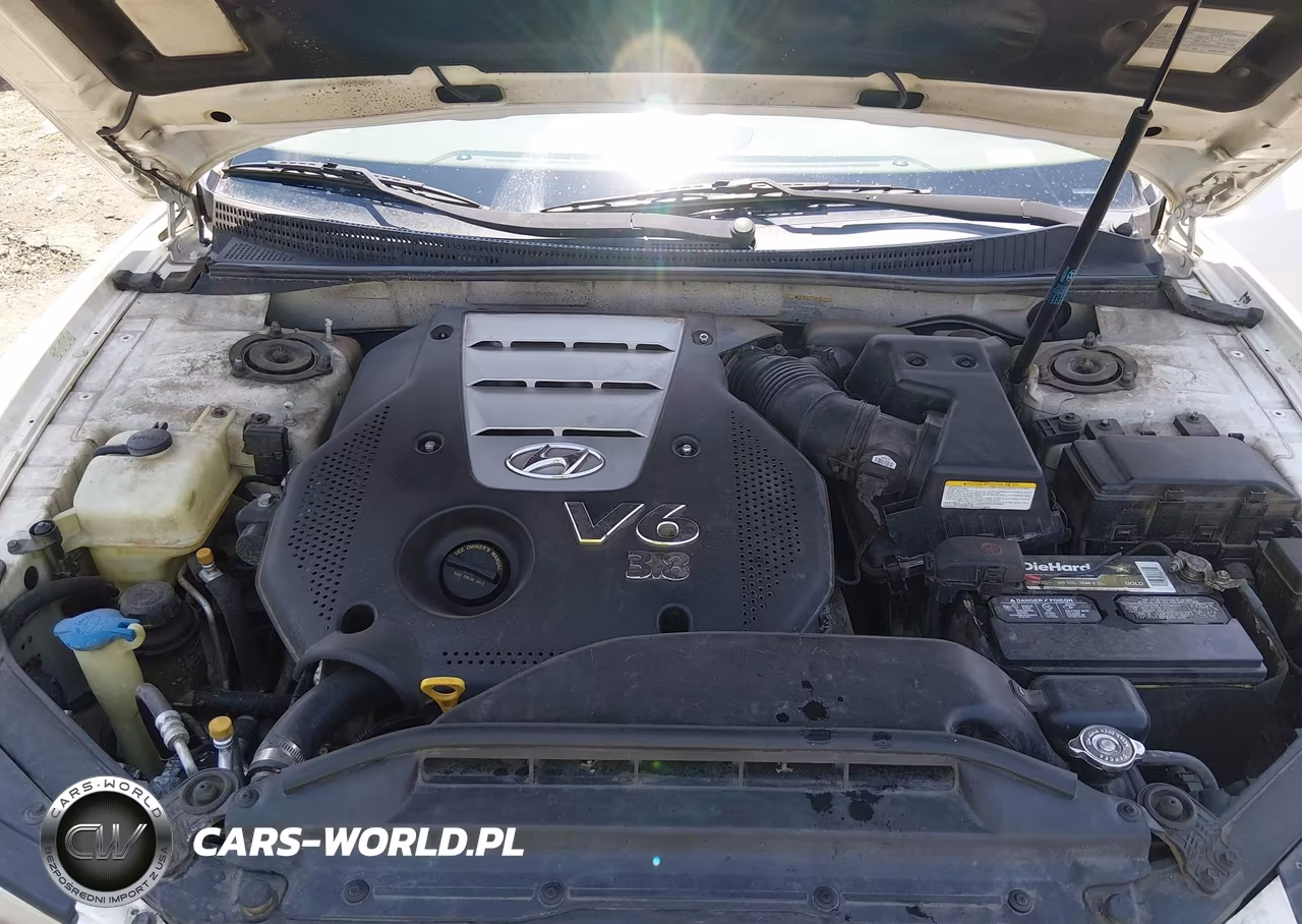 2008 Hyundai Azera Limited VIN:KMHFC46F58A265082 - 10