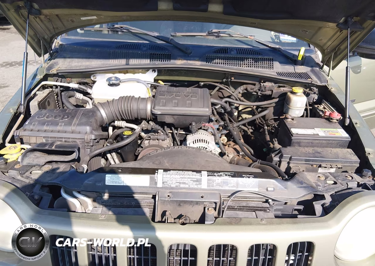 2002 Jeep Liberty Renegade VIN:1J4GL38K12W349904 - 10