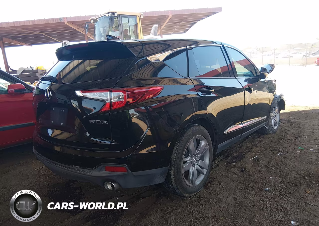 2019 Acura Rdx Advance Package VIN:5J8TC1H7XKL011800 - 4