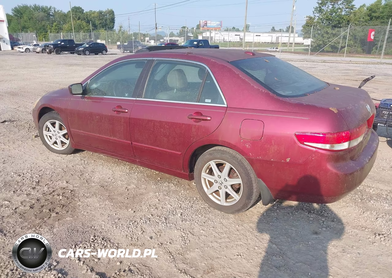 2004 Honda Accord 3.0 Ex VIN:1HGCM66594A041719 - 3