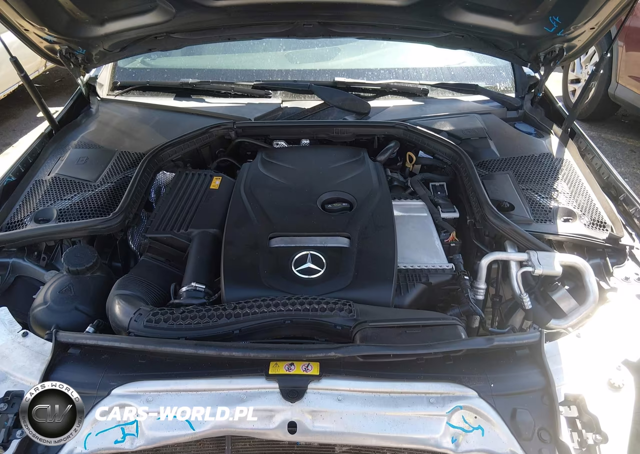 2018 Mercedes-Benz C 300 VIN:55SWF4JB0JU253465 - 10
