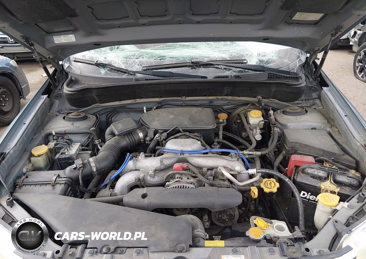 2010 Subaru Forester 2.5X Premium VIN:JF2SH6CC9AG793979 - 10