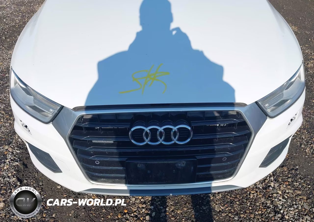 2016 Audi Q3 2.0T Premium Plus VIN:WA1EFCFS8GR015554 - 10