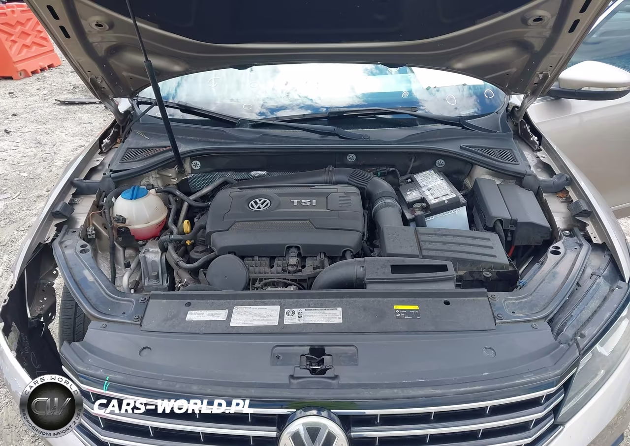 2016 Volkswagen Passat 1.8T Se VIN:1VWBS7A35GC011876 - 10