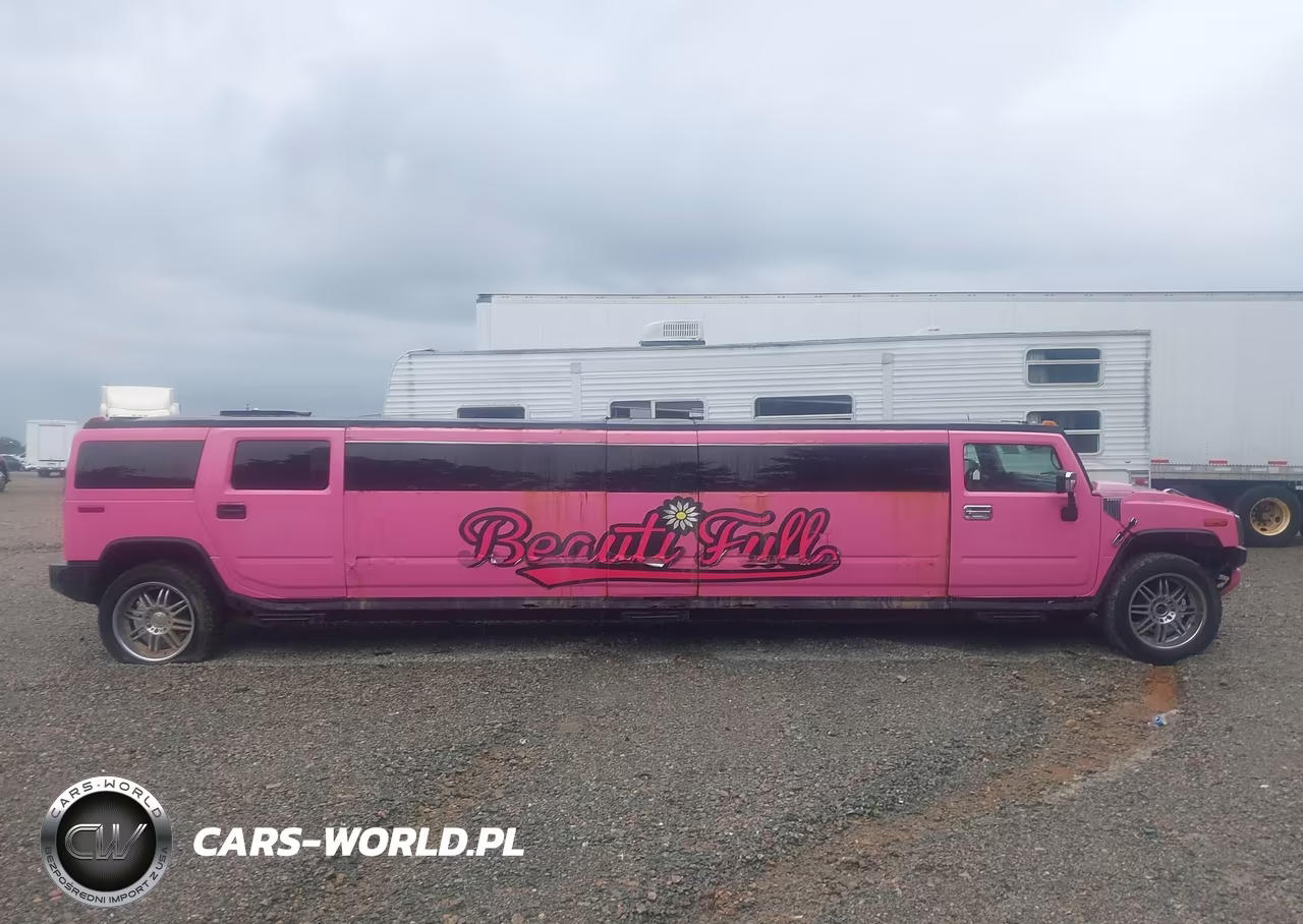 2003 Hummer H2 VIN:5GRGN23U33H143698 - 13
