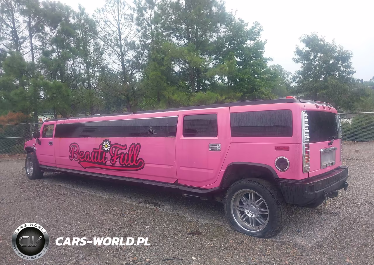 2003 Hummer H2 VIN:5GRGN23U33H143698 - 14