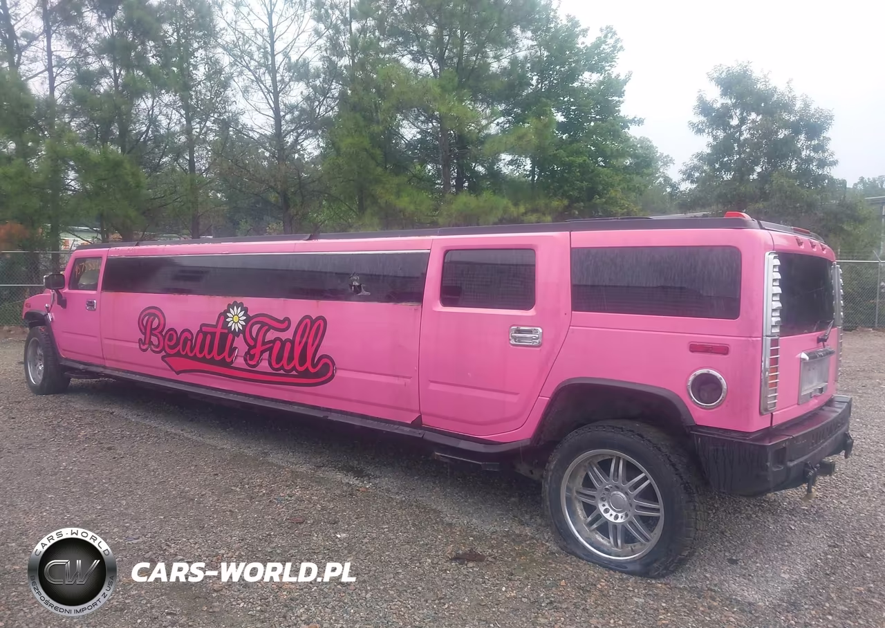 2003 Hummer H2 VIN:5GRGN23U33H143698 - 6
