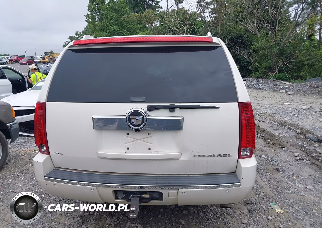 2008 Cadillac Escalade Esv VIN:1GYFK66898R173070 - 16