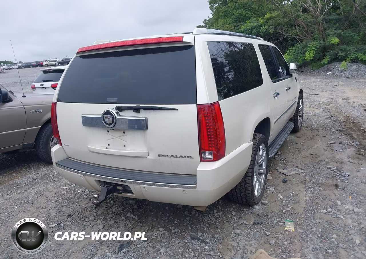 2008 Cadillac Escalade Esv VIN:1GYFK66898R173070 - 4