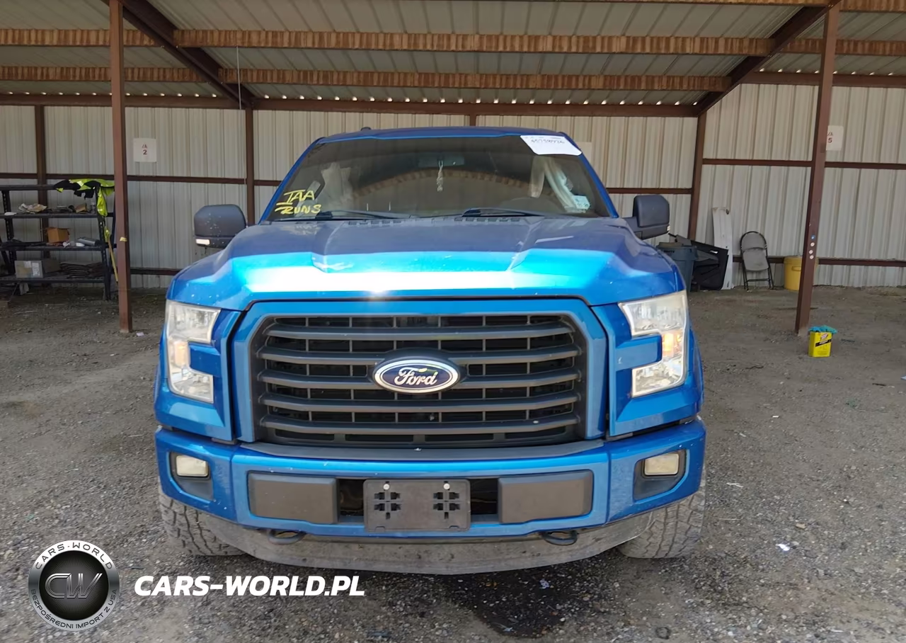 2015 Ford F-150 Xlt VIN:1FTEW1EF6FKE33634 - 13