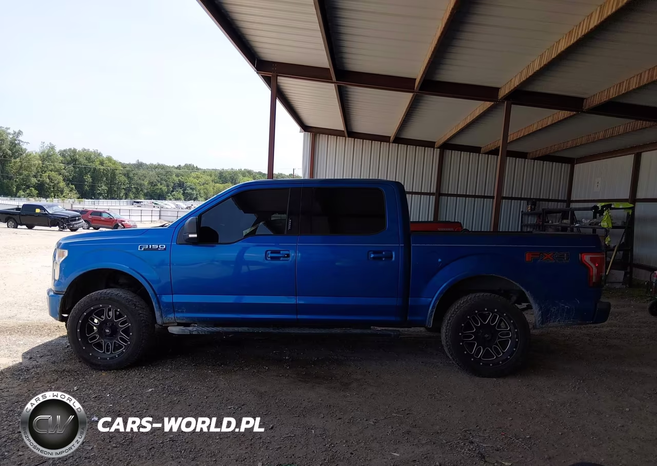 2015 Ford F-150 Xlt VIN:1FTEW1EF6FKE33634 - 15