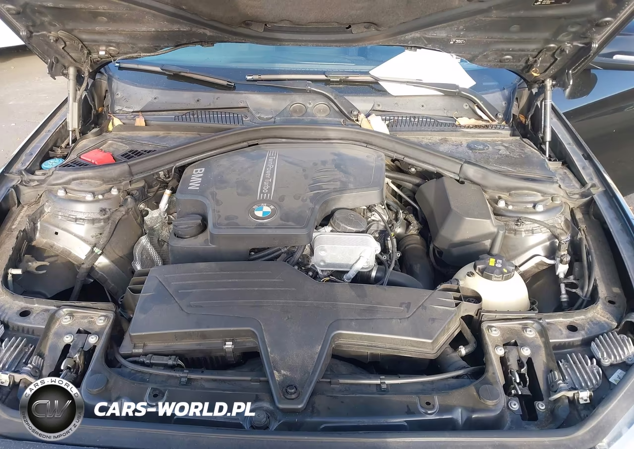 2016 BMW 228I VIN:WBA1F9C53GV742577 - 10