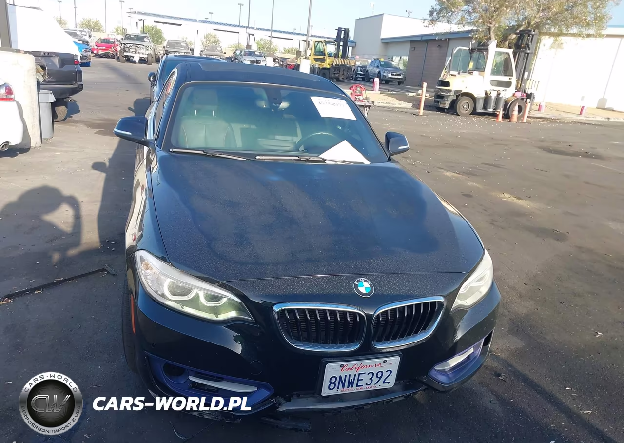 2016 BMW 228I VIN:WBA1F9C53GV742577 - 13